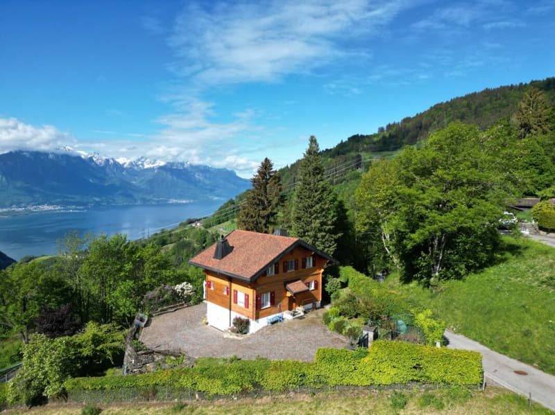 Lakeside Chalet (1)