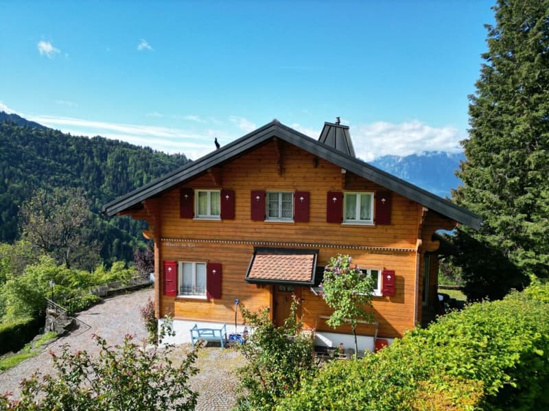 Lakeside Chalet (8)