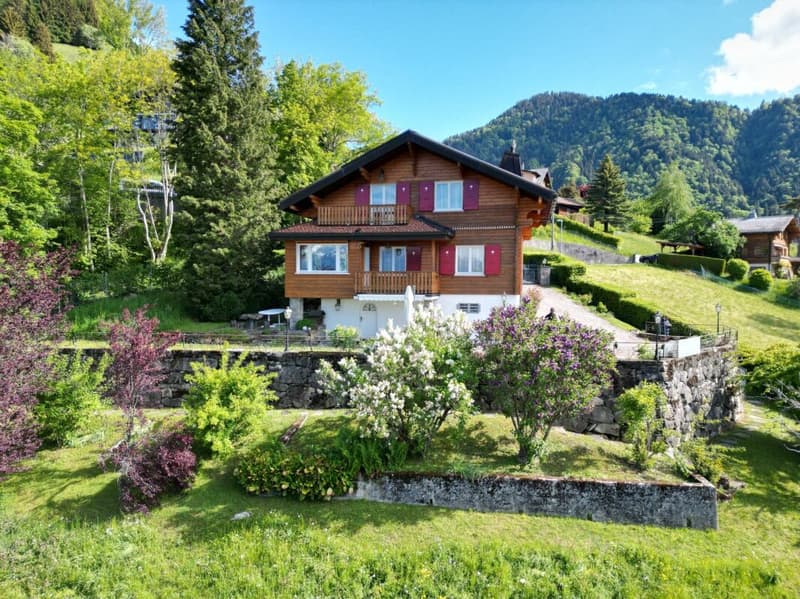 Lakeside Chalet (2)