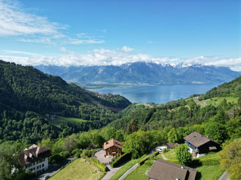 Lakeside Chalet (3)
