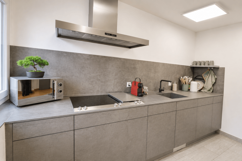Exclusive - 4.5 room apartment in PPE (3)