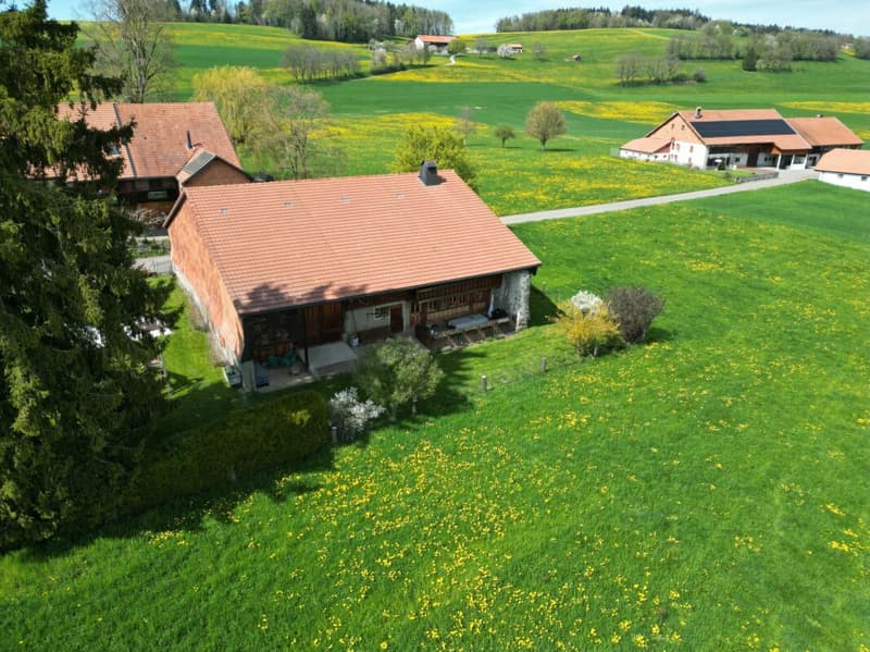 En exclusivité : Ferme de caractère avec rural, en pleine campagne (1)