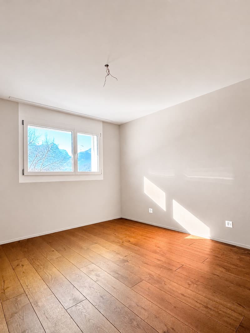 Dream apartment with a view of the Glarner Alps (F2-1) (7)