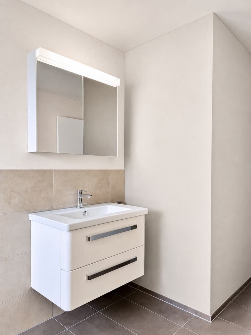 Dream apartment with a view of the Glarner Alps (F2-1) (6)