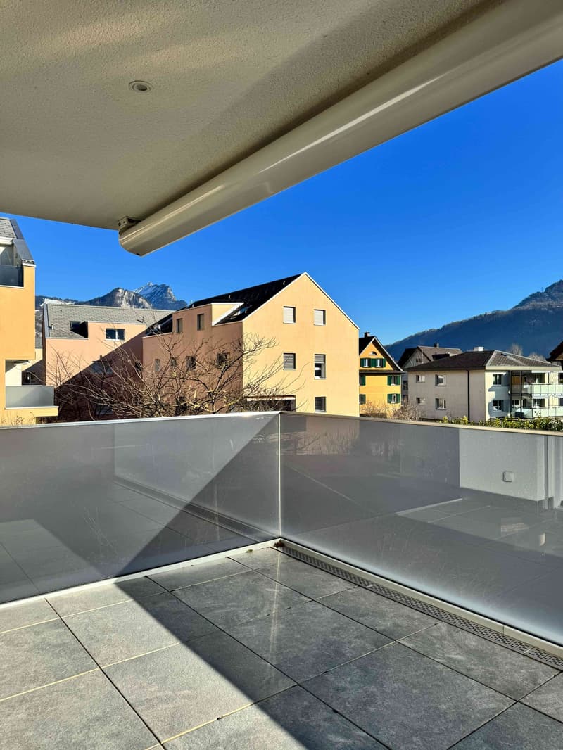 Dream apartment with a view of the Glarner Alps (F2-1) (10)