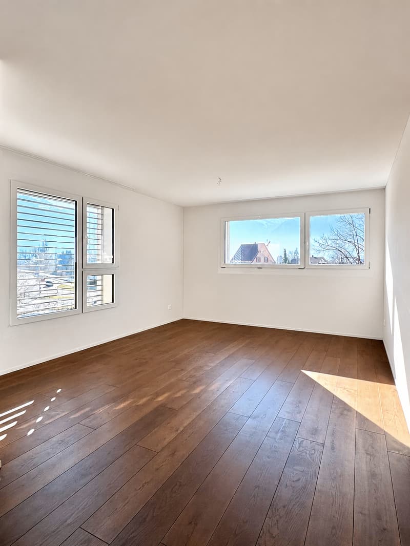 Dream apartment with a view of the Glarner Alps (F2-1) (2)