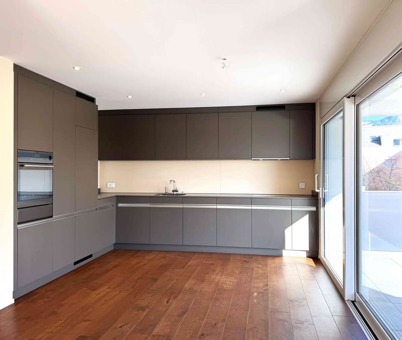 Dream apartment with a view of the Glarner Alps (F2-1) (1)