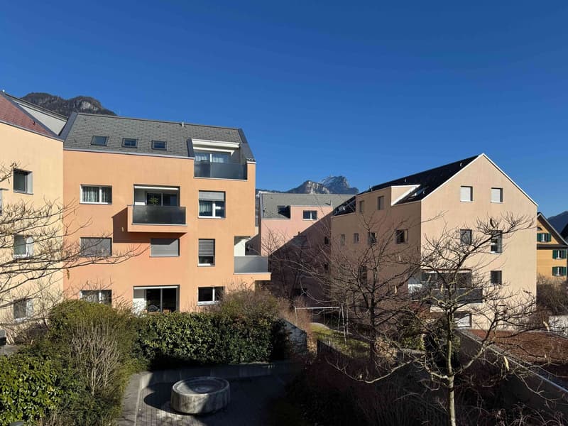 Dream apartment with a view of the Glarner Alps (F2-1) (11)