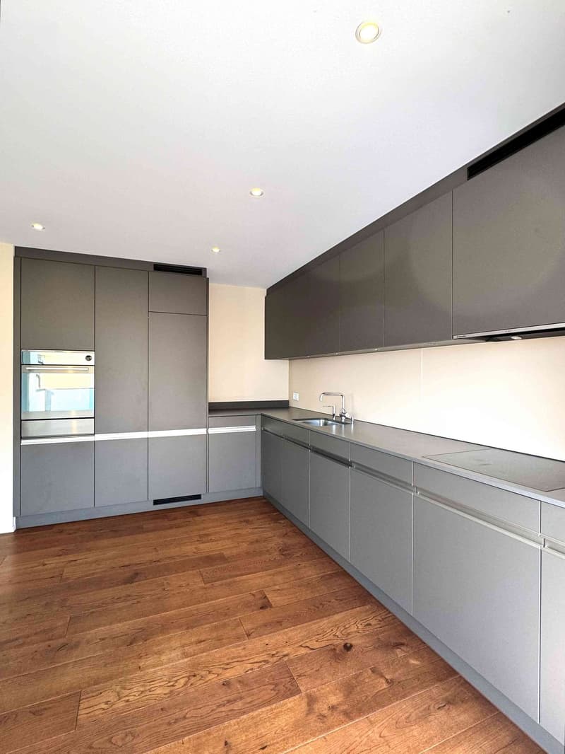 Dream apartment with a view of the Glarner Alps (F2-1) (3)