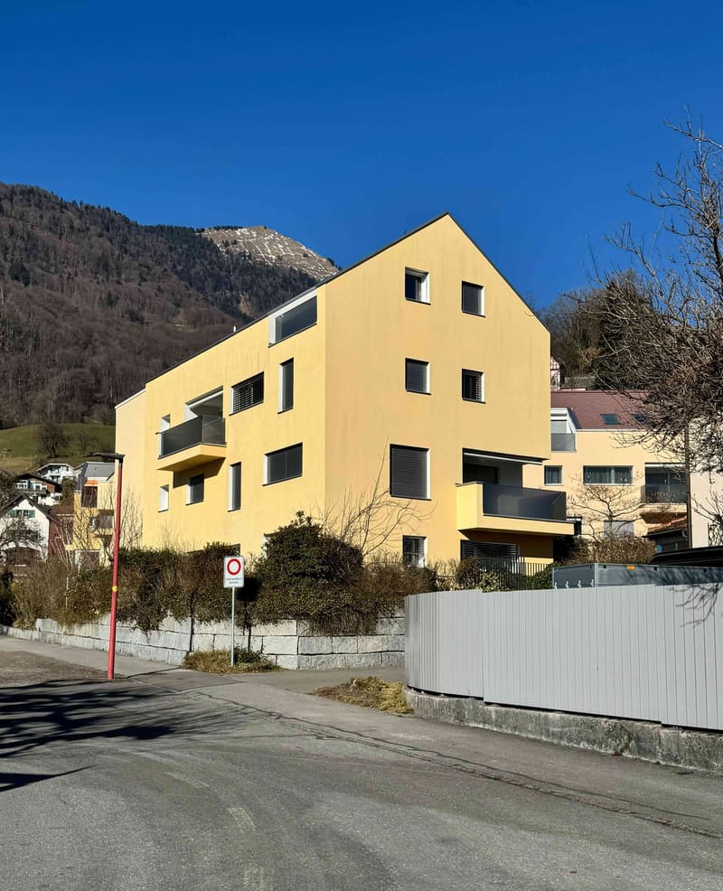 Dream apartment with a view of the Glarner Alps (F2-1) (12)