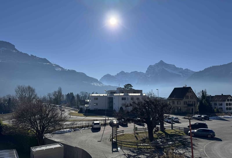 Dream apartment with a view of the Glarner Alps (F2-1) (13)