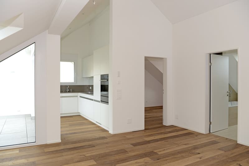 Apartment with mountain view in the Glarner Alps (F1-3) (1)