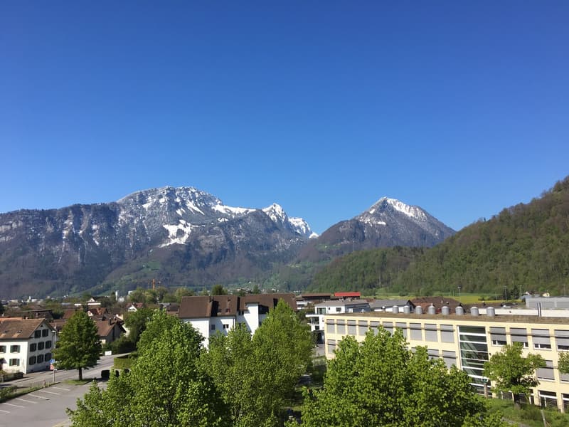 Apartment with mountain view in the Glarner Alps (F1-3) (6)