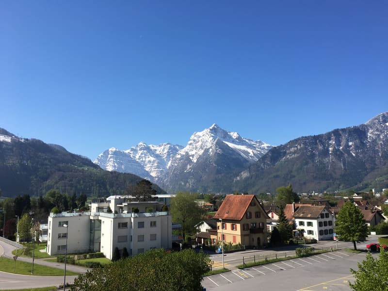Apartment with mountain view in the Glarner Alps (F1-3) (5)