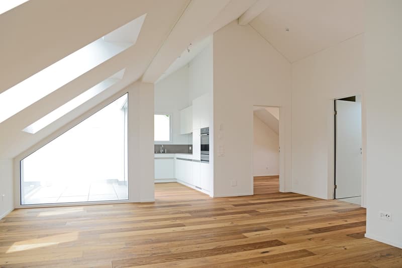 Apartment with mountain view in the Glarner Alps (F1-3) (2)