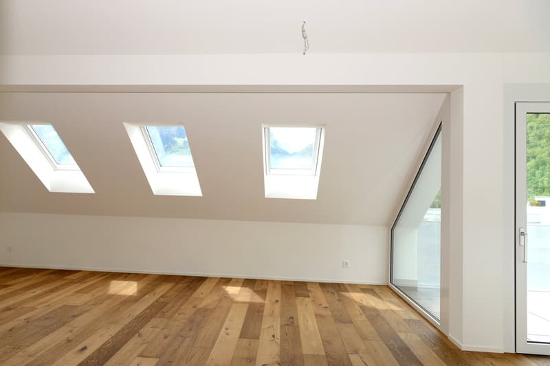 Apartment with mountain view in the Glarner Alps (F1-3) (3)