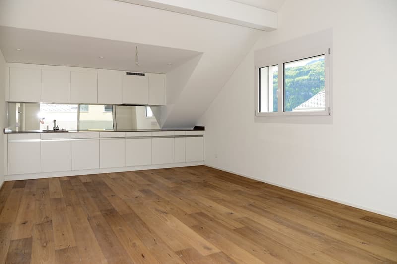 Spacious attic apartment with terrace (G1-3) (2)