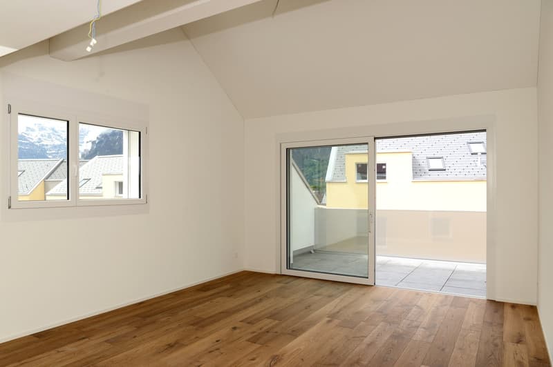 Spacious attic apartment with terrace (G1-3) (3)