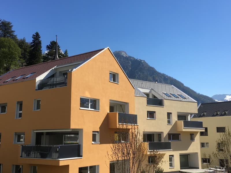 Spacious attic apartment with terrace (G1-3) (8)