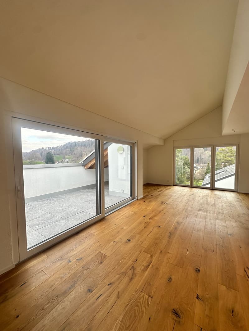 Appartamento duplex moderno di 5,5 locali in una zona tranquilla di Bauma (4)