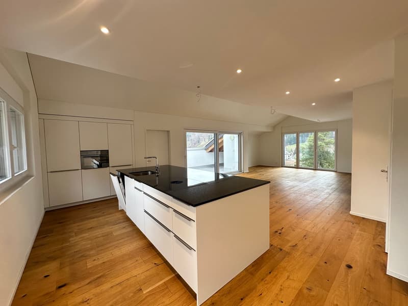 Appartamento duplex moderno di 5,5 locali in una zona tranquilla di Bauma (1)