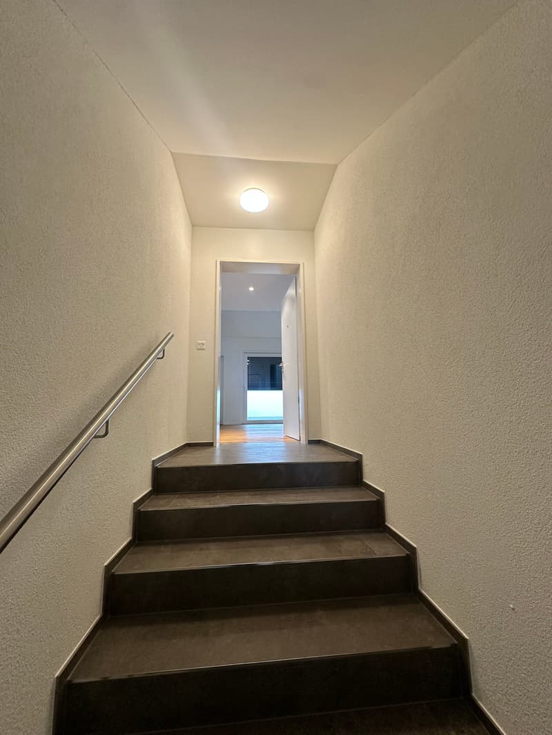 Appartamento duplex moderno di 5,5 locali in una zona tranquilla di Bauma (20)