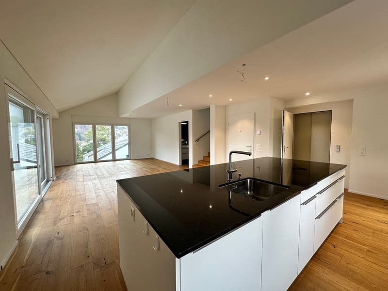 Appartamento duplex moderno di 5,5 locali in una zona tranquilla di Bauma (3)