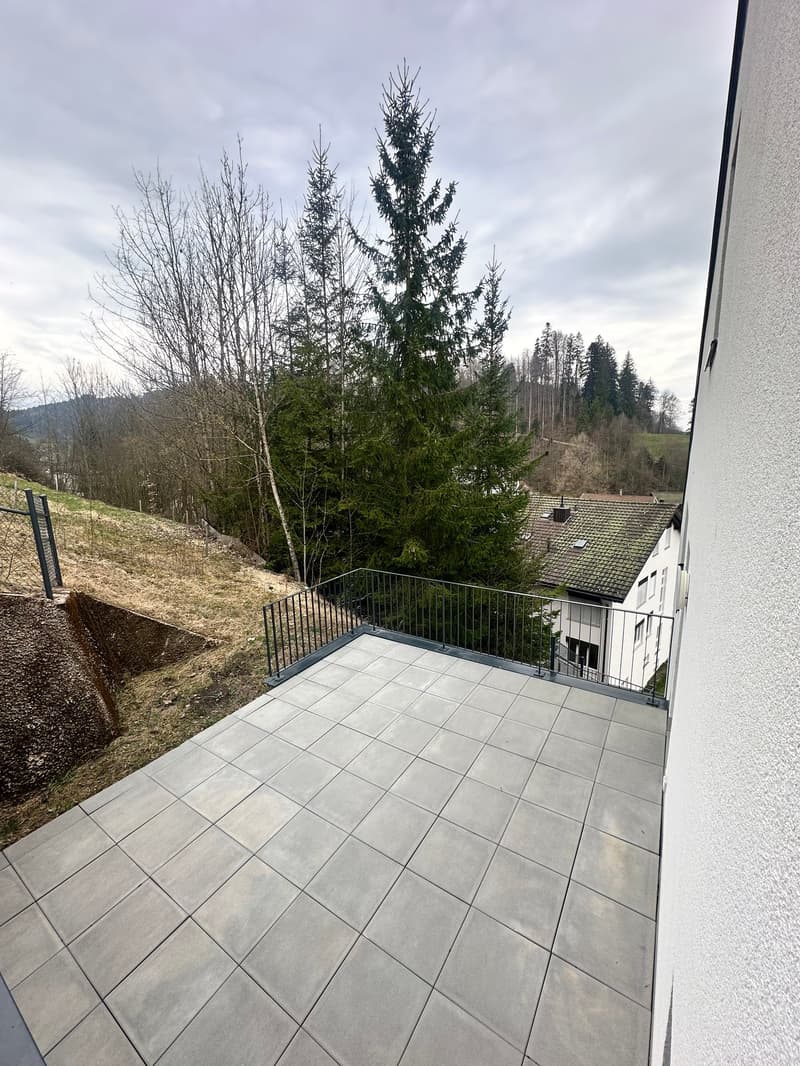 Appartamento duplex moderno di 5,5 locali in una zona tranquilla di Bauma (18)