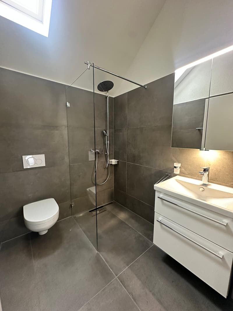 Appartamento duplex moderno di 5,5 locali in una zona tranquilla di Bauma (12)