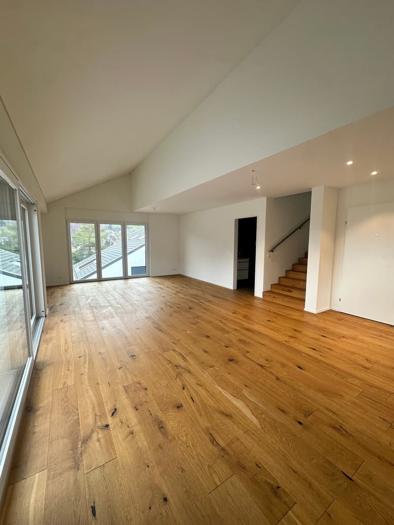 Appartamento duplex moderno di 5,5 locali in una zona tranquilla di Bauma (5)