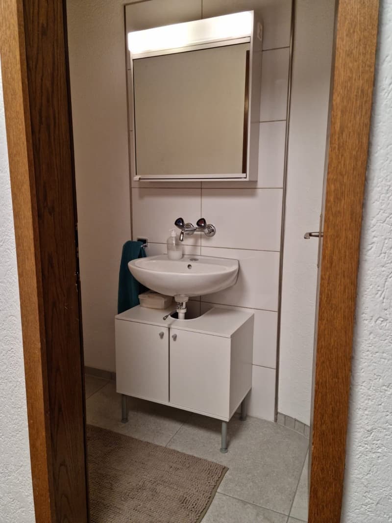 Charming 4.5-room attic apartment in Wittenbach (3)