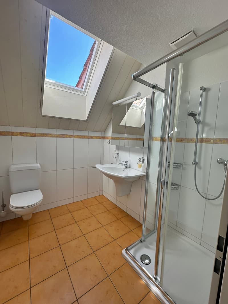 Exklusive 5.5-Zimmer-Maisonettewohnung mit Alpenpanorama in Hittnau (6)