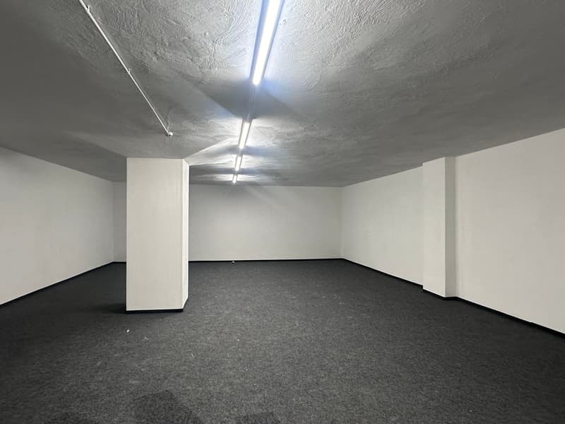 Diversi locali di stoccaggio con ventilazione, collegamento elettrico e servizi igienici (1)
