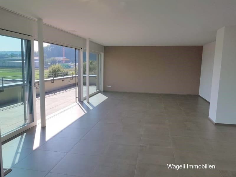 Appartement penthouse de luxe 5 pièces avec balcon et vue panoramique à Niederwil (5)