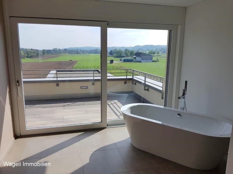 Appartement penthouse de luxe 5 pièces avec balcon et vue panoramique à Niederwil (7)