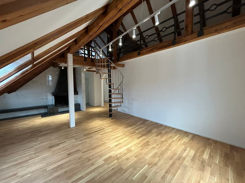 Charmant appartement mansardé avec caractère dans un quartier calme à St. Gallen (2)