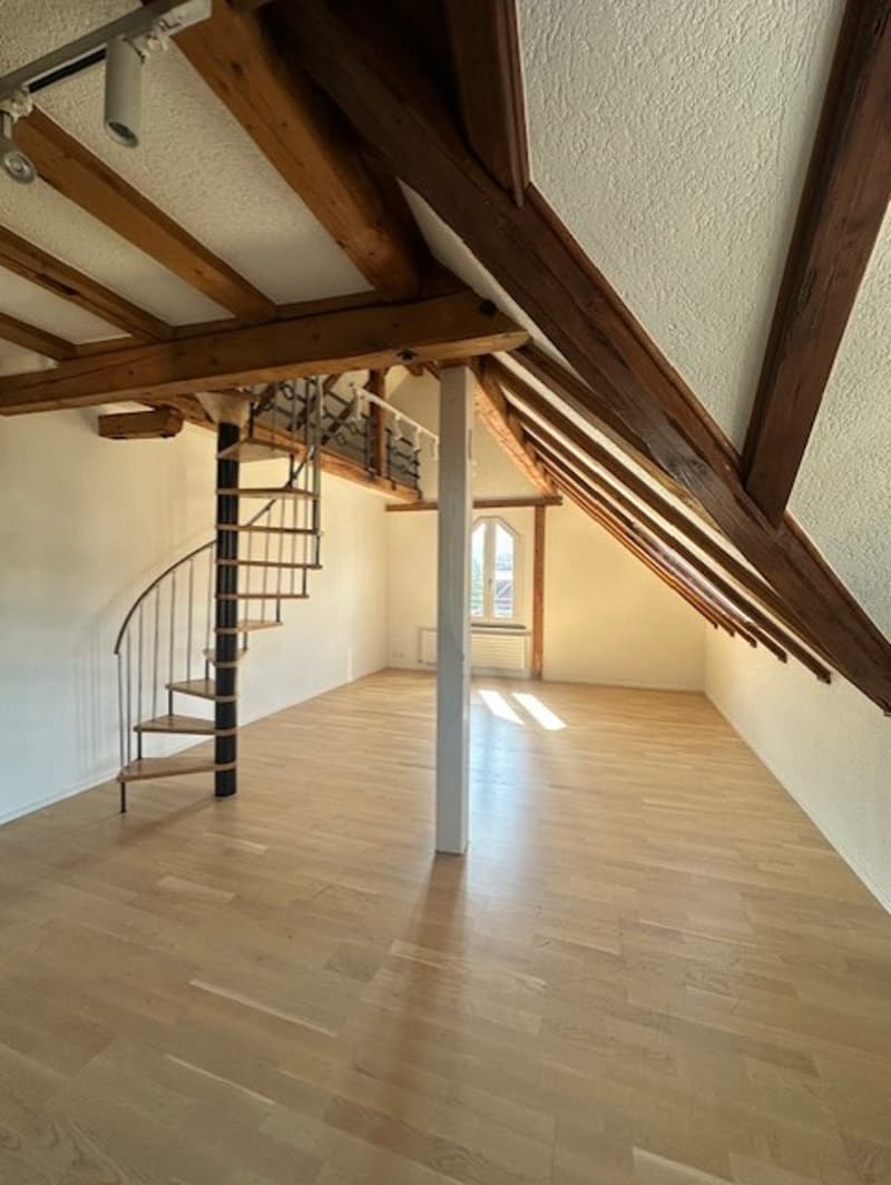 Charmant appartement mansardé avec caractère dans un quartier calme à St. Gallen (3)