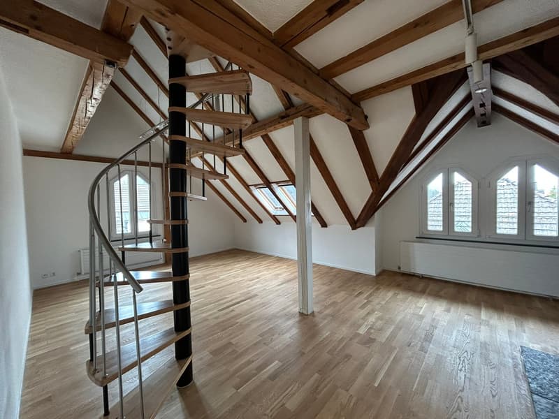Charmant appartement mansardé avec caractère dans un quartier calme à St. Gallen (1)