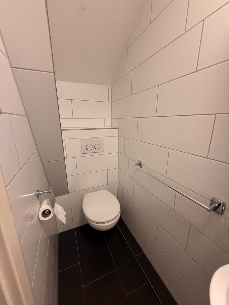 Charmant appartement de 4,5 pièces en mansarde à Wittenbach (8)