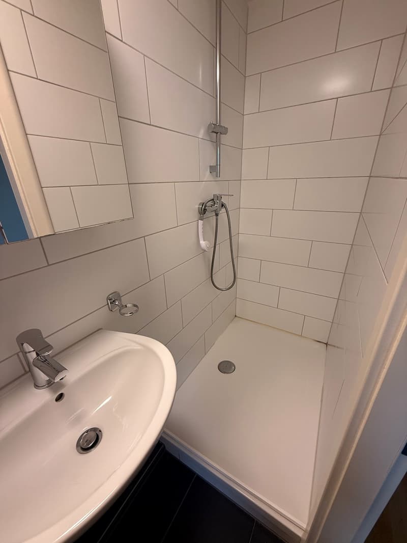 Charmant appartement de 4,5 pièces en mansarde à Wittenbach (7)