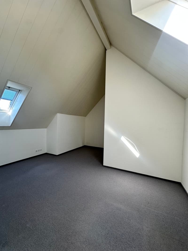 Exklusive 5.5-Zimmer-Maisonettewohnung mit Alpenpanorama in Hittnau (13)