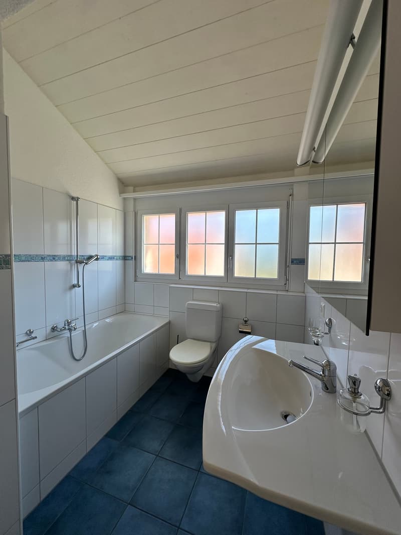 Exklusive 5.5-Zimmer-Maisonettewohnung mit Alpenpanorama in Hittnau (9)