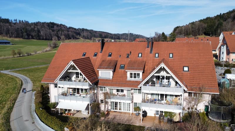 Exklusive 5.5-Zimmer-Maisonettewohnung mit Alpenpanorama in Hittnau (1)