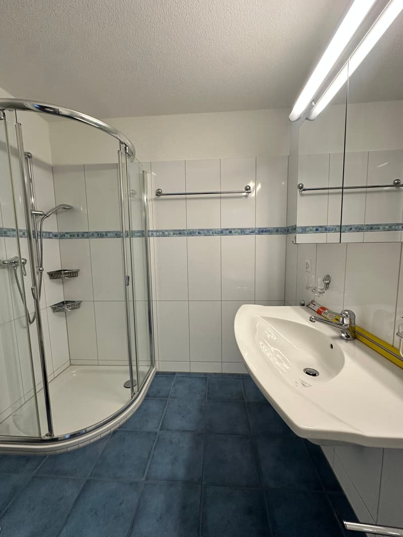 Exklusive 5.5-Zimmer-Maisonettewohnung mit Alpenpanorama in Hittnau (6)