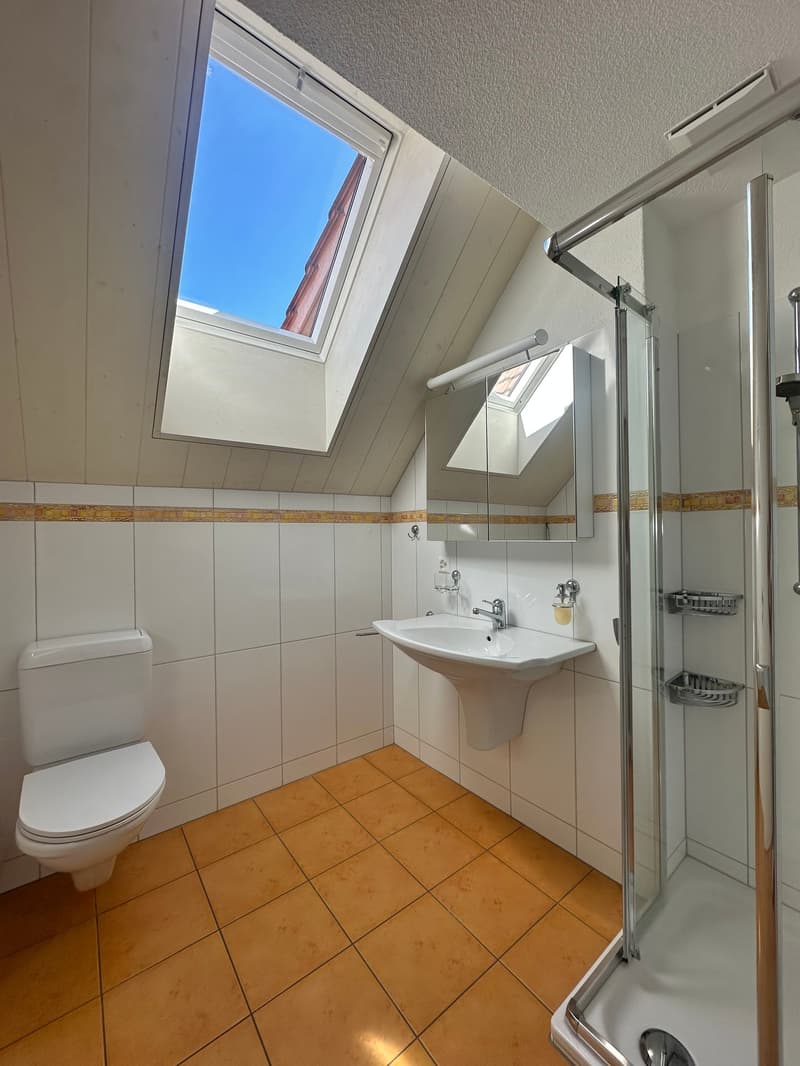 Exklusive 5.5-Zimmer-Maisonettewohnung mit Alpenpanorama in Hittnau (10)