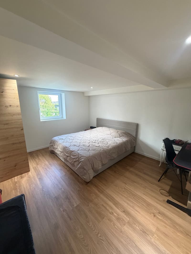 Charmante 2-Zimmer-Wohnung im Untergeschoss in Bischofszell (7)