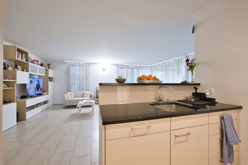 modern kitchen, stainless steel sink, granite countertop, built-in appliances, open to living room, light wood cabinets, flat screen TV on entertainment center