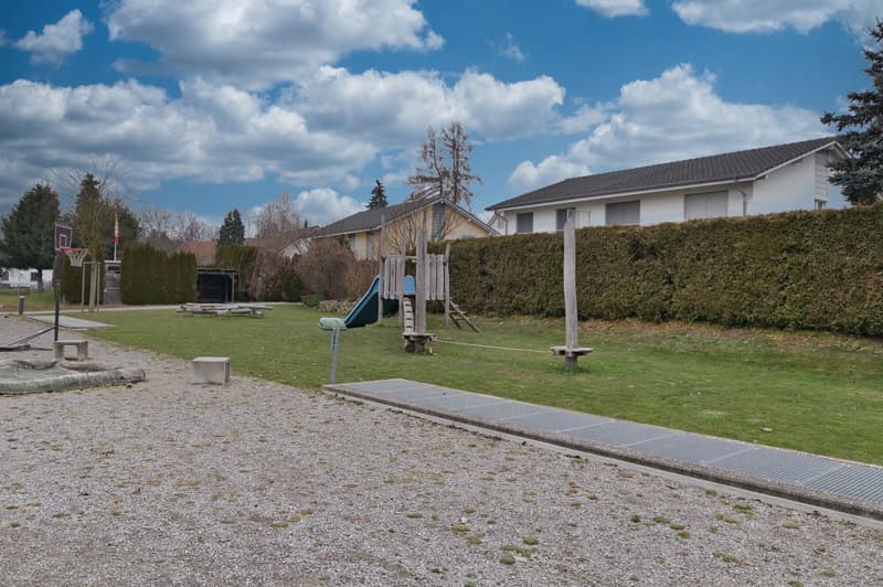 grass lawn, blue slide, metal pathway, playground, hedge, houses in the background