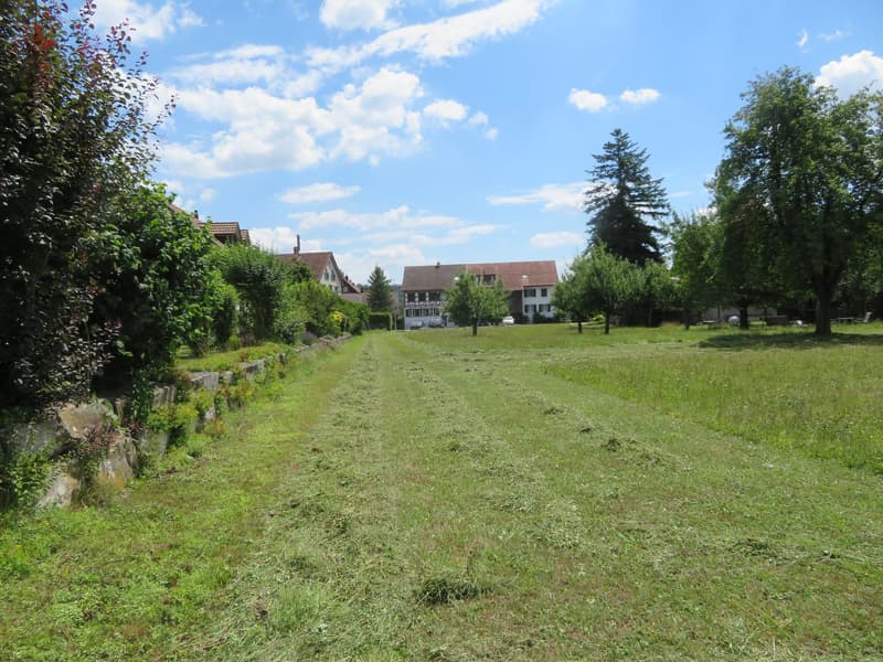The image shows a grassy field surrounded by trees and houses. The sky is blue with some clouds, and the scene appears to be in a rural or suburban area.