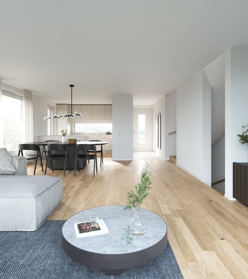 Double-family houses in Schleinikon ZH - New construction project (3)